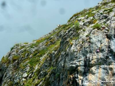 Descenso Sella - Lagos de Covadonga; viaje senderismo; senderismo y excursiones;escapadas fin de sem